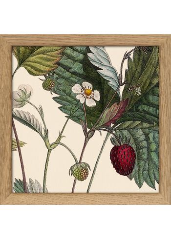 The Dybdahl Co - Poster - Plants #SQ109 - Oak Frame
