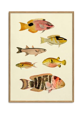 The Dybdahl Co - Poster - The Fishes #3910P - The Fishes #3910P