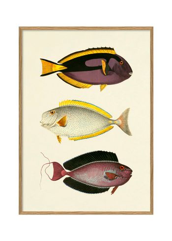 The Dybdahl Co - Plakat - Fishes #3915P - Fishes #3915P