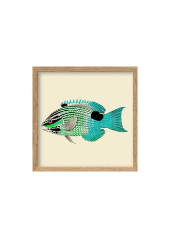 The Dybdahl Co - Cartaz - Turquoise And Neon Green Fish - Turquoise And Neon Green Fish / Oak