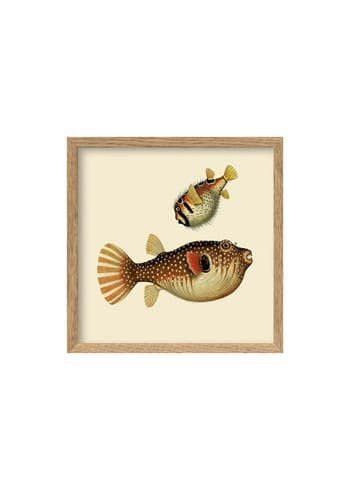The Dybdahl Co - Cartaz - Two Fishes Poster - Two Big Fishes / Oak
