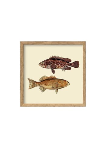 The Dybdahl Co - Cartaz - Two Fishes Poster - Two Flat Fish / Oak