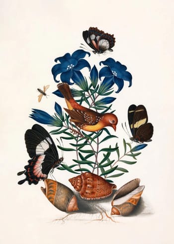 The Dybdahl Co - Cartaz - YELLOW BIRD, BUTTERFLIES & BLUE FLOWER - YELLOW BIRD, BUTTERFLIES & BLUE FLOWER