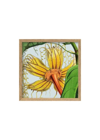 The Dybdahl Co - Poster - Yellow Flower Poster - Yellow Flower With Orange / Oak