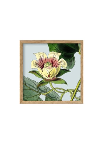 The Dybdahl Co - Poster - Yellow Flower Poster - Yellow Flower With Pink / Oak