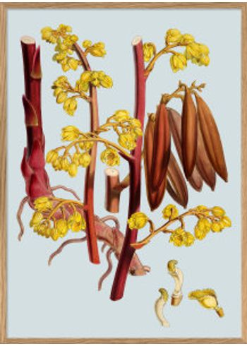 The Dybdahl Co - Poster - Red Brands with Yellow Flowers #4610 - Red Brands with Yellow Flowers