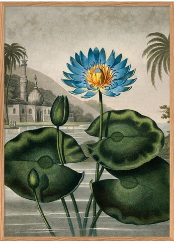 The Dybdahl Co - - The Temple Of Flora - Blue Egyptian