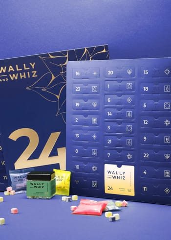 Wally and Whiz - Calendario de Navidad - Christmas calendar 2024 - AZUL