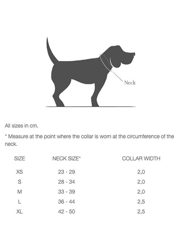 Dog Collar Prater - Collari per cani - Cloud7