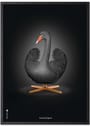 Brainchild - Plakat - Classic poster - black swan - Ingen ramme