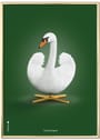 Brainchild - Affisch - Classic poster - green swan - No frame