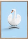 Brainchild - Affisch - Classic Swan Poster - Light Blue - No frame