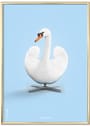 Brainchild - Poster - Classic Swan Poster - Light Blue - No frame