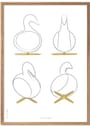 Brainchild - Juliste - Design Sketches Swan 4 pcs. Poster - White - No Frame