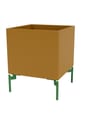 Montana - Cajas de almacenamiento - Colour Box I – S6161 - With Parsley Legs - Acacia