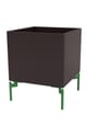 Montana - Storage boxes - Colour Box I – S6161 - With Parsley Legs - Acacia