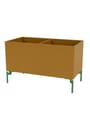 Montana - Storage boxes - Colour Box III – S4162 - With Parsley Legs - Acacia