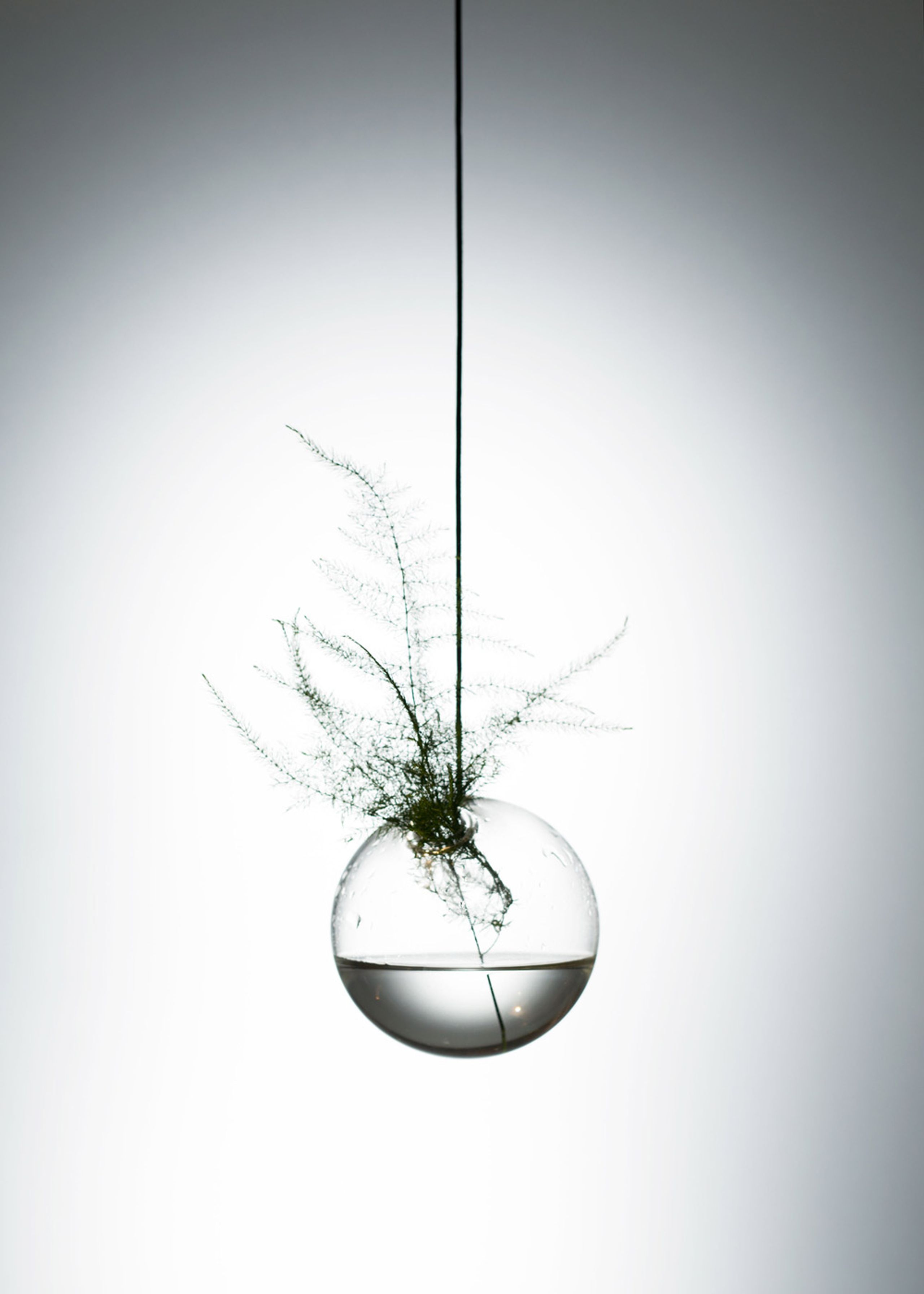 About Form and Function - Vase - Flower Bubbles - Small - Transparent