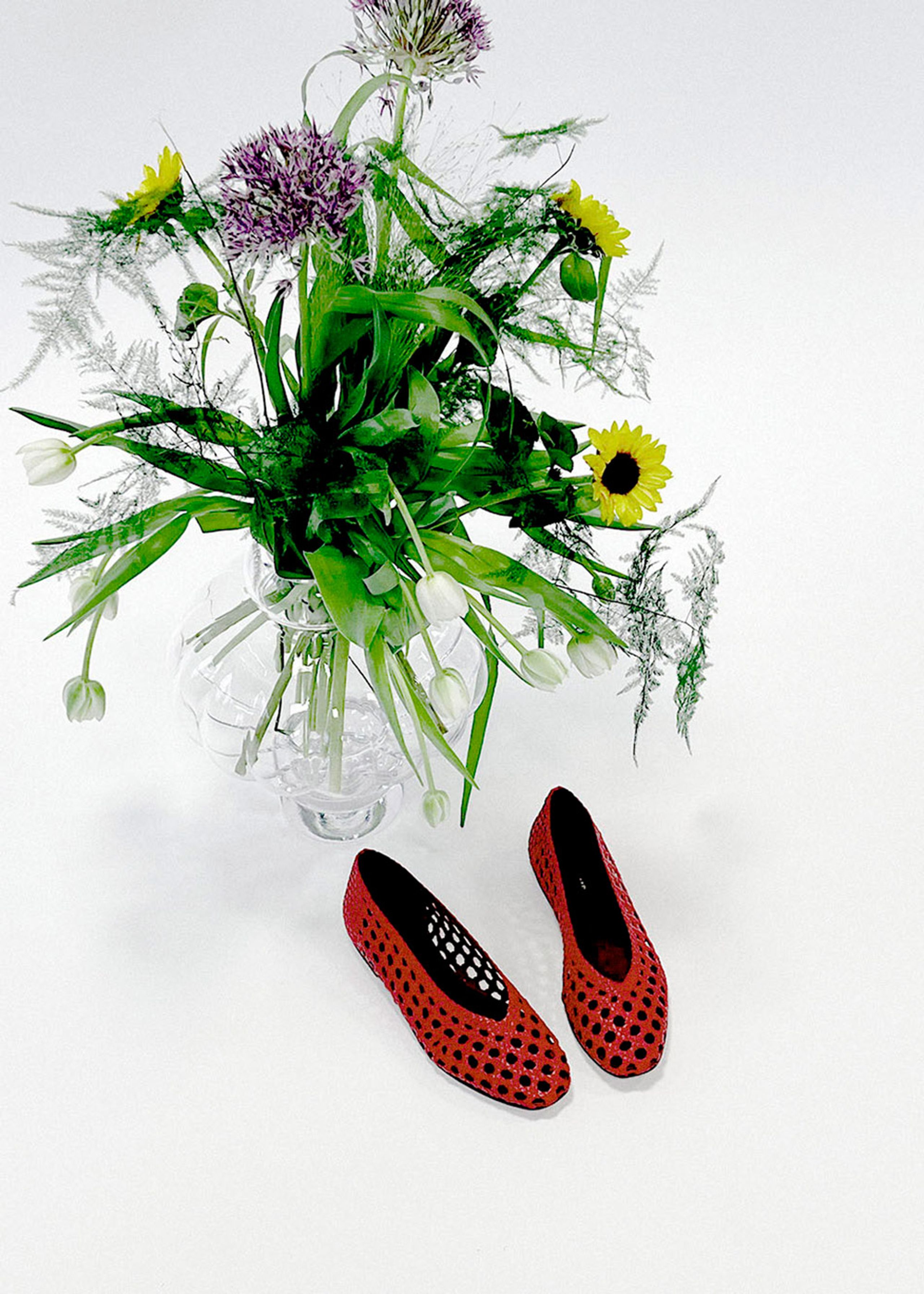 Anonymous Copenhagen - Ballerinas - Sessi 10 - Ruby Red