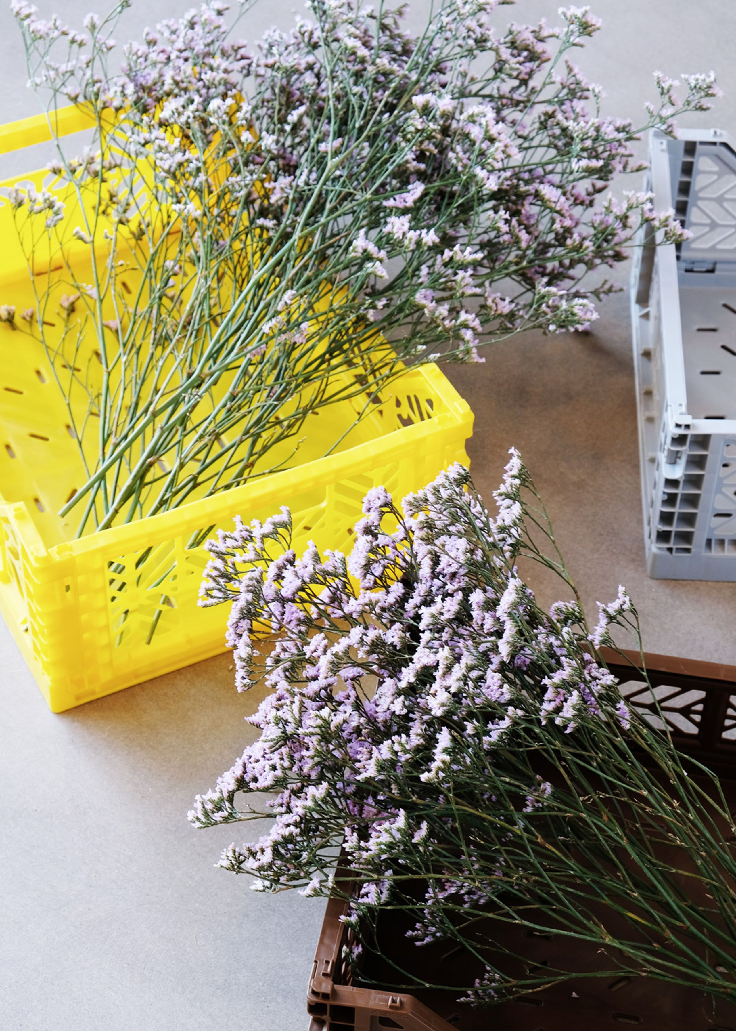 Aykasa - Skrzynki - Aykasa Foldable Boxes - Midi - Khaki