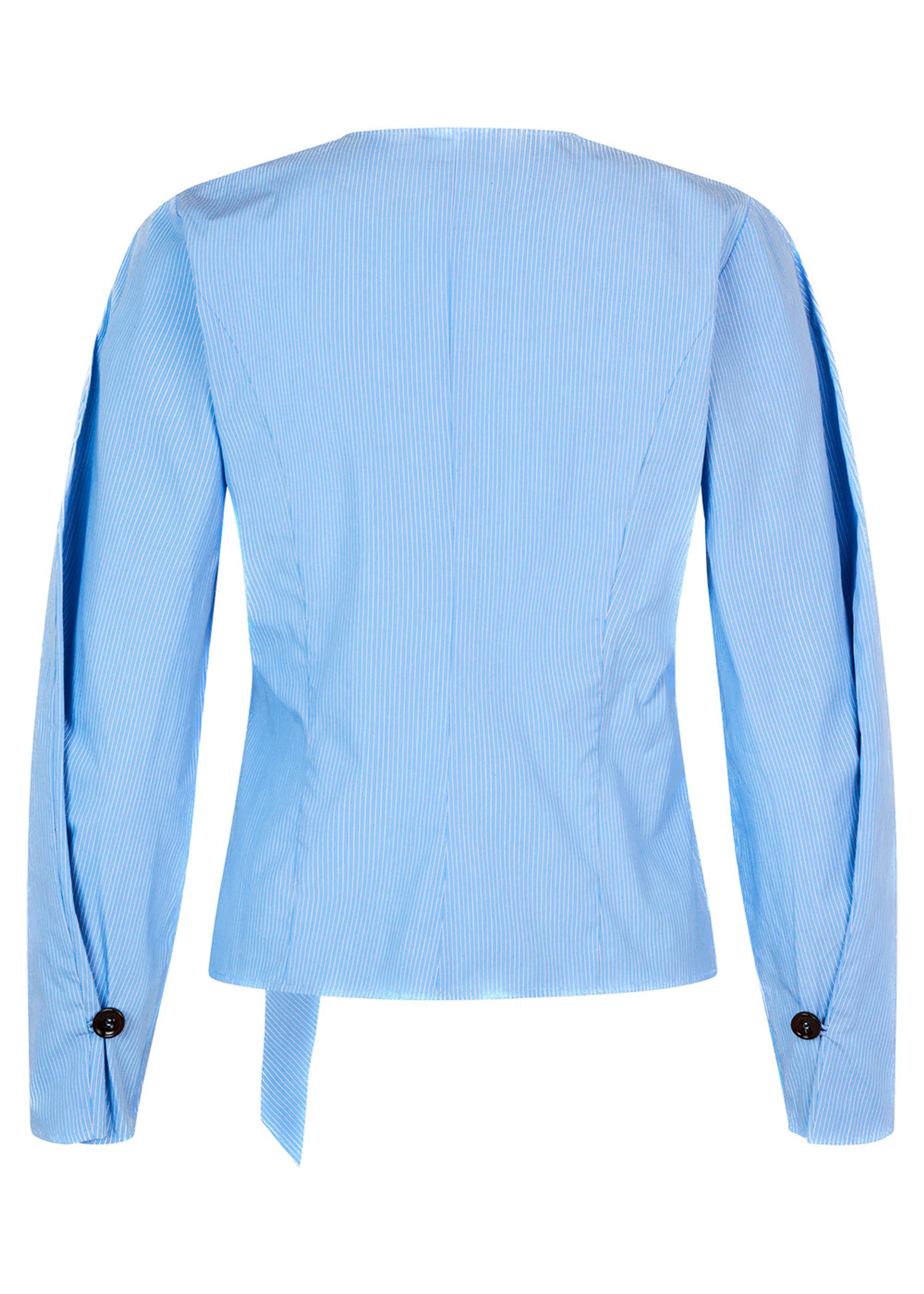 Baum und Pferdgarten - Halenka - Millea - Brunnera Blue Stripe