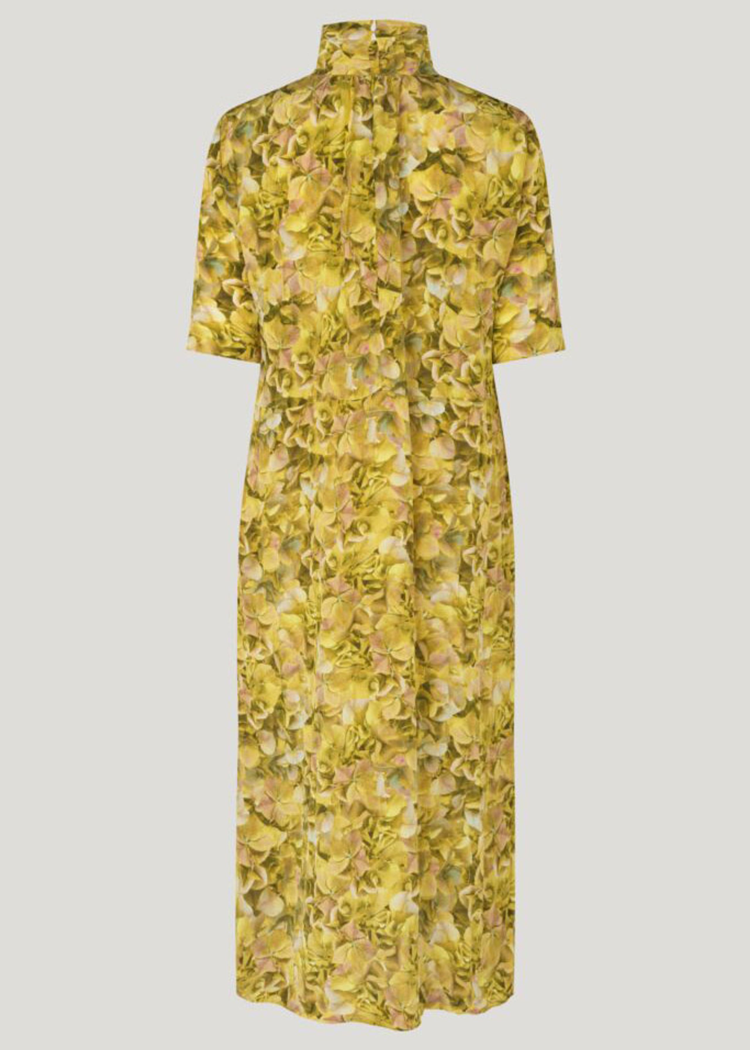 Baum und Pferdgarten - Klänning - Angie - Yellow Hydrangea