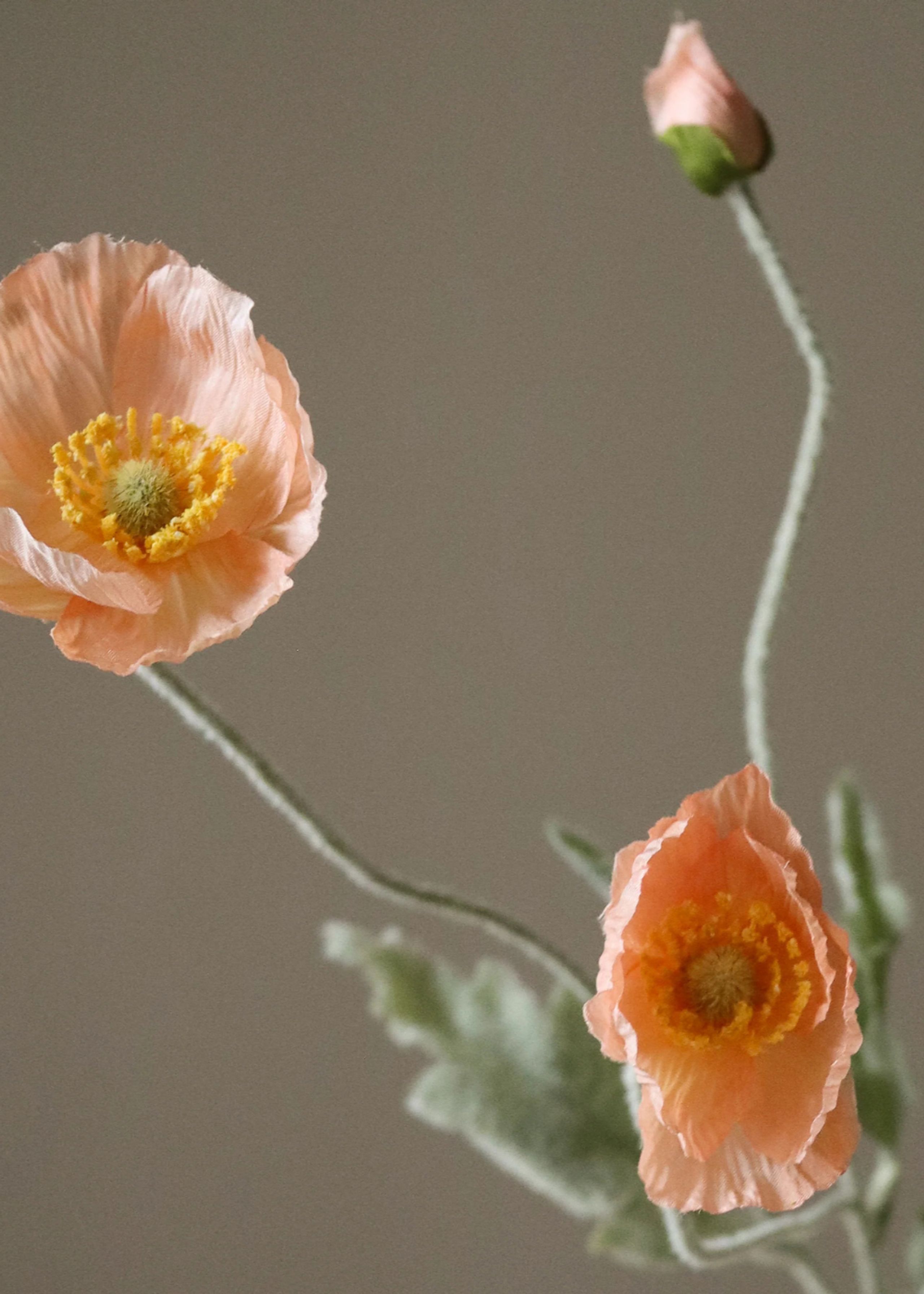 Botané - Umělé květiny - Flower stems - Coral Poppy Flower