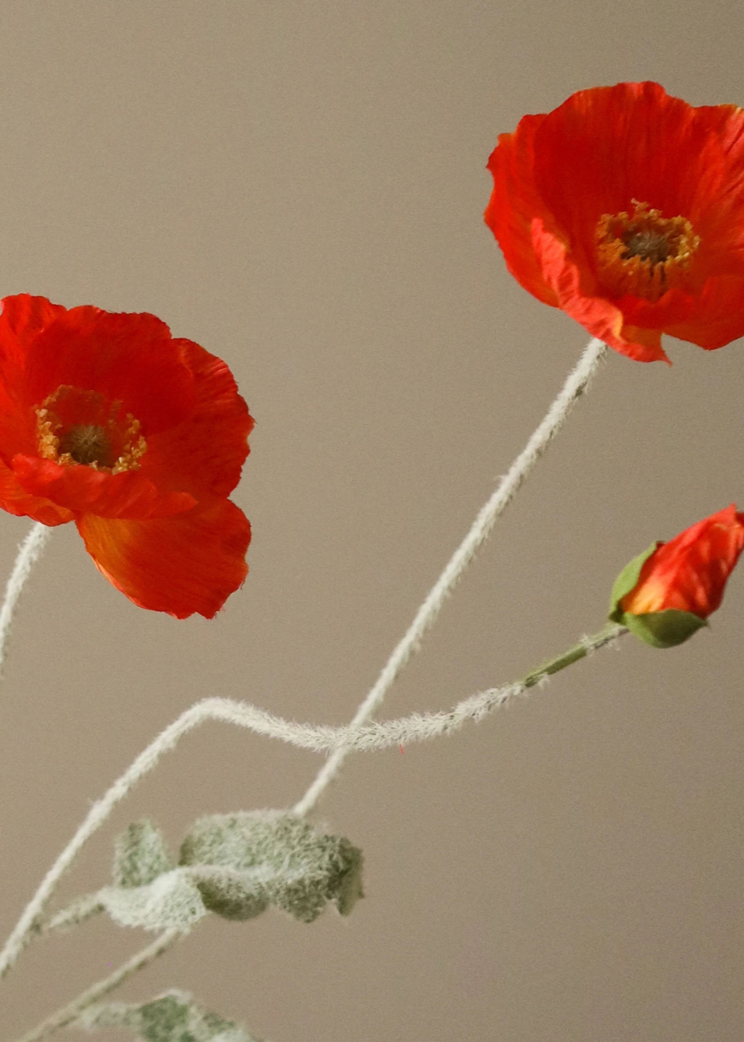 Botané - Artificial flowers - Flower stems - Dark Orange Poppy Flower
