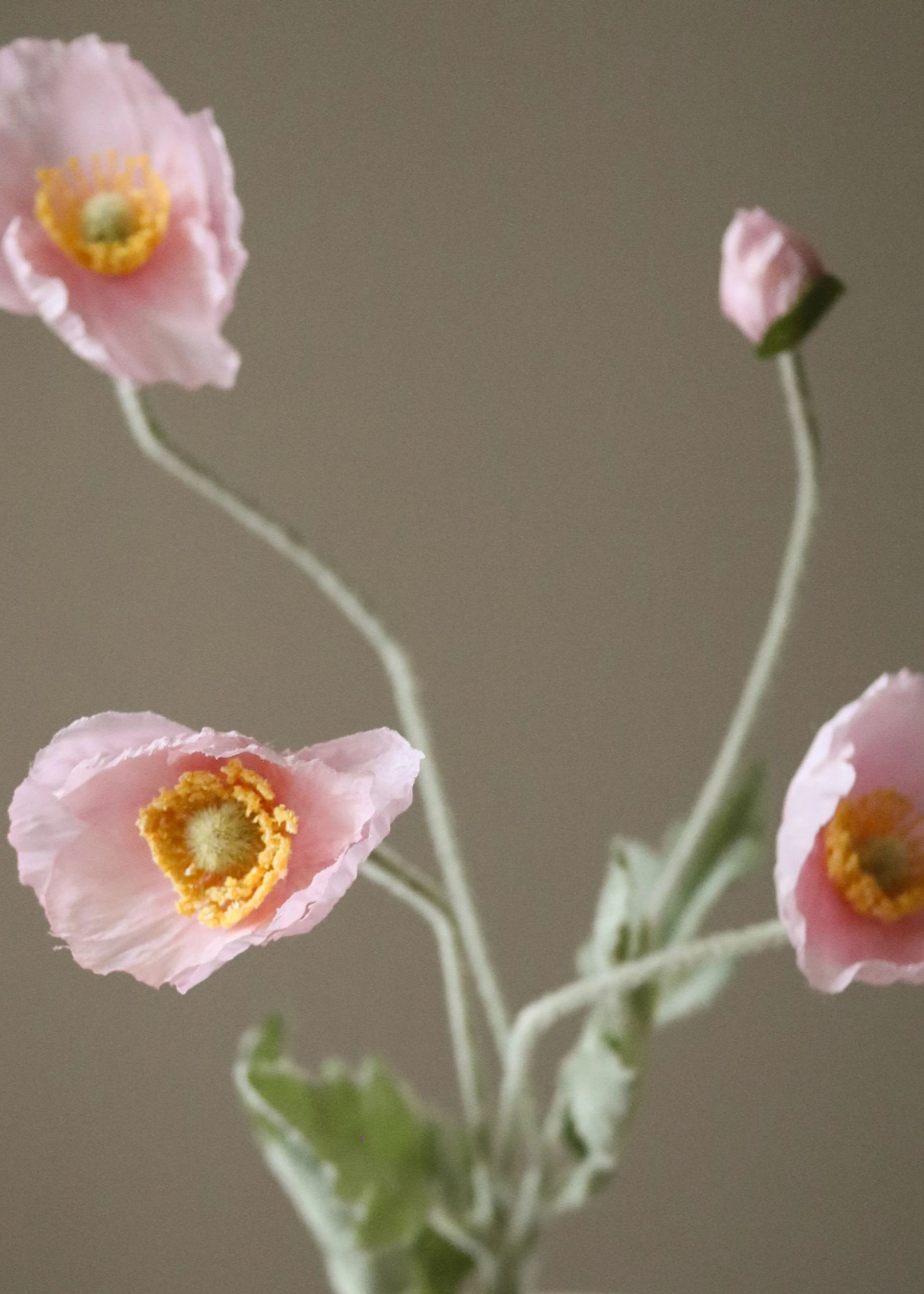 Botané - Artificial flowers - Flower stems - Light Pink Poppy Flower