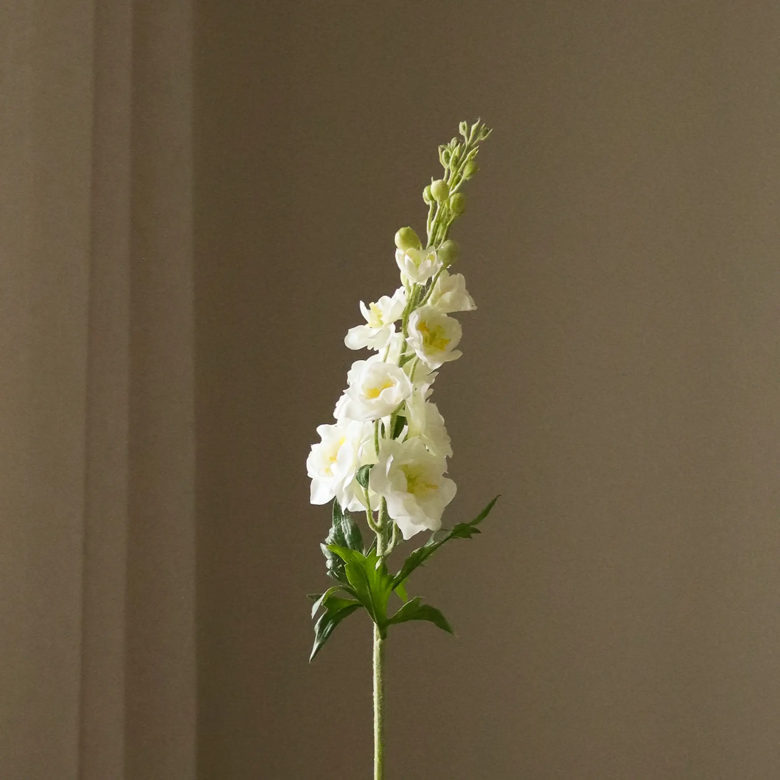 Botané - Fiori artificiali - Flower stems - White Delphinium Flower