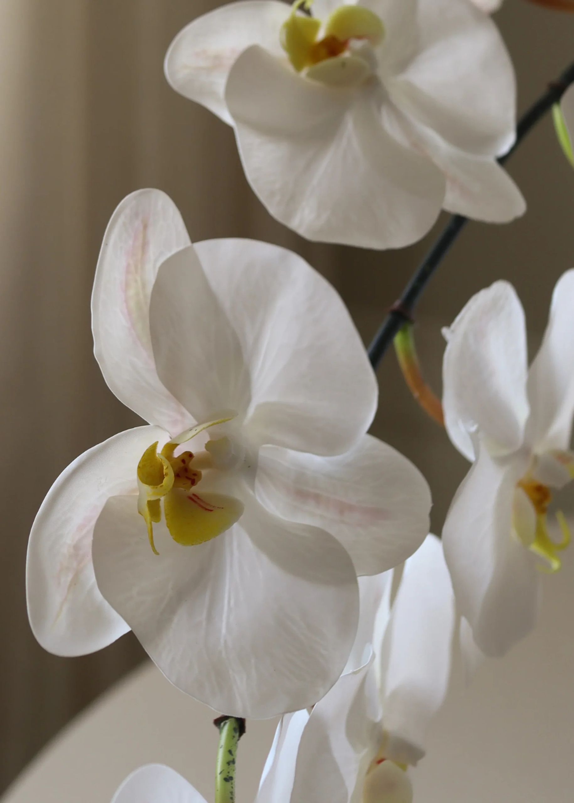 Botané - Artificial flowers - Flower stems - White Large Orchid