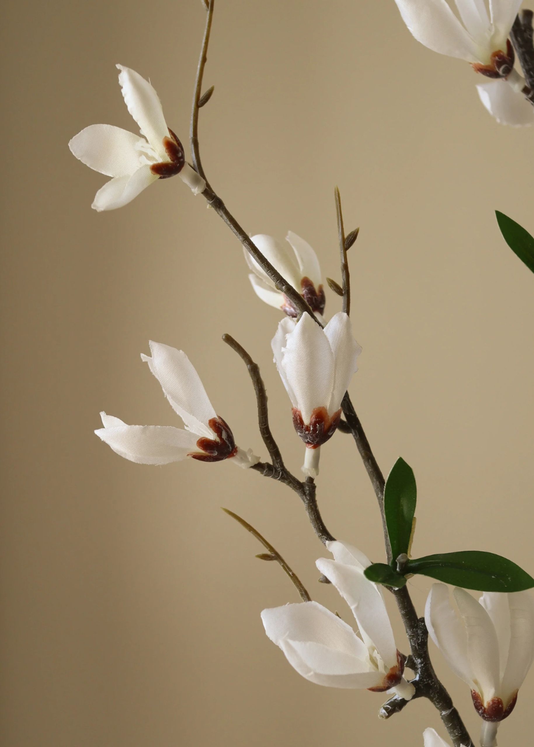 Botané - Artificial flowers - Flower stems - White Star Magnolia Branch