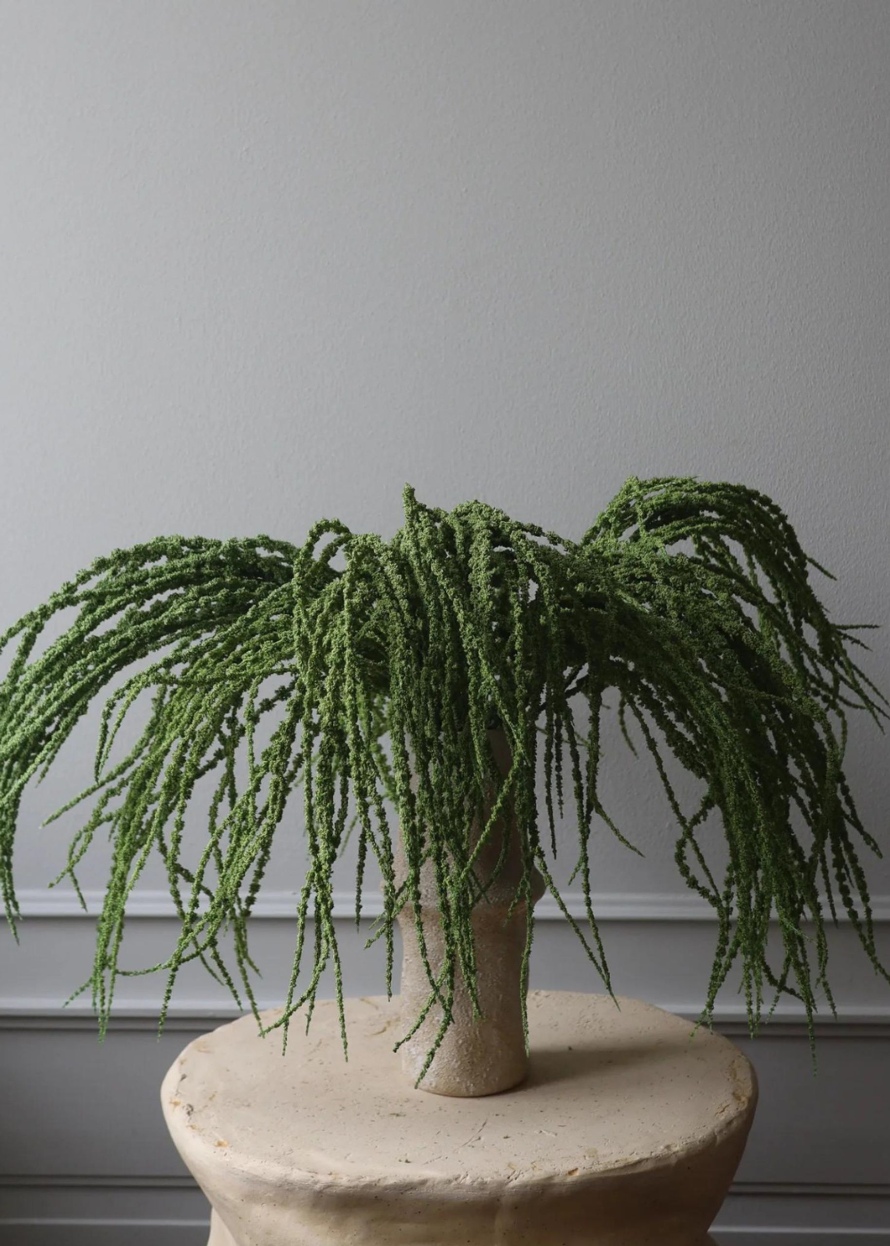 Botané - Artificial flowers - Flower stems - Amaranthus Caudatus Dreadlocks