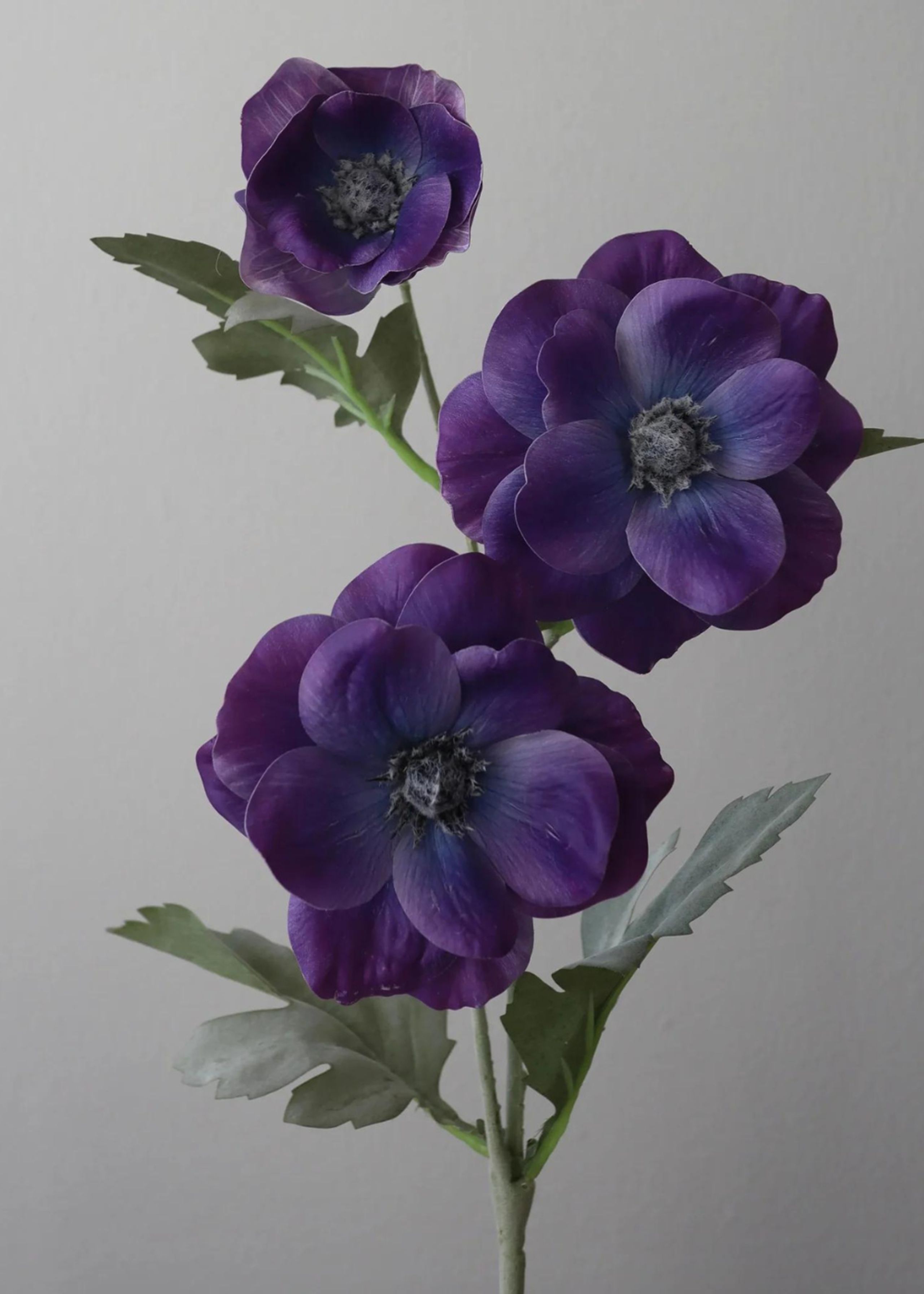 Botané - Artificial flowers - Flower stems - Anemone purple