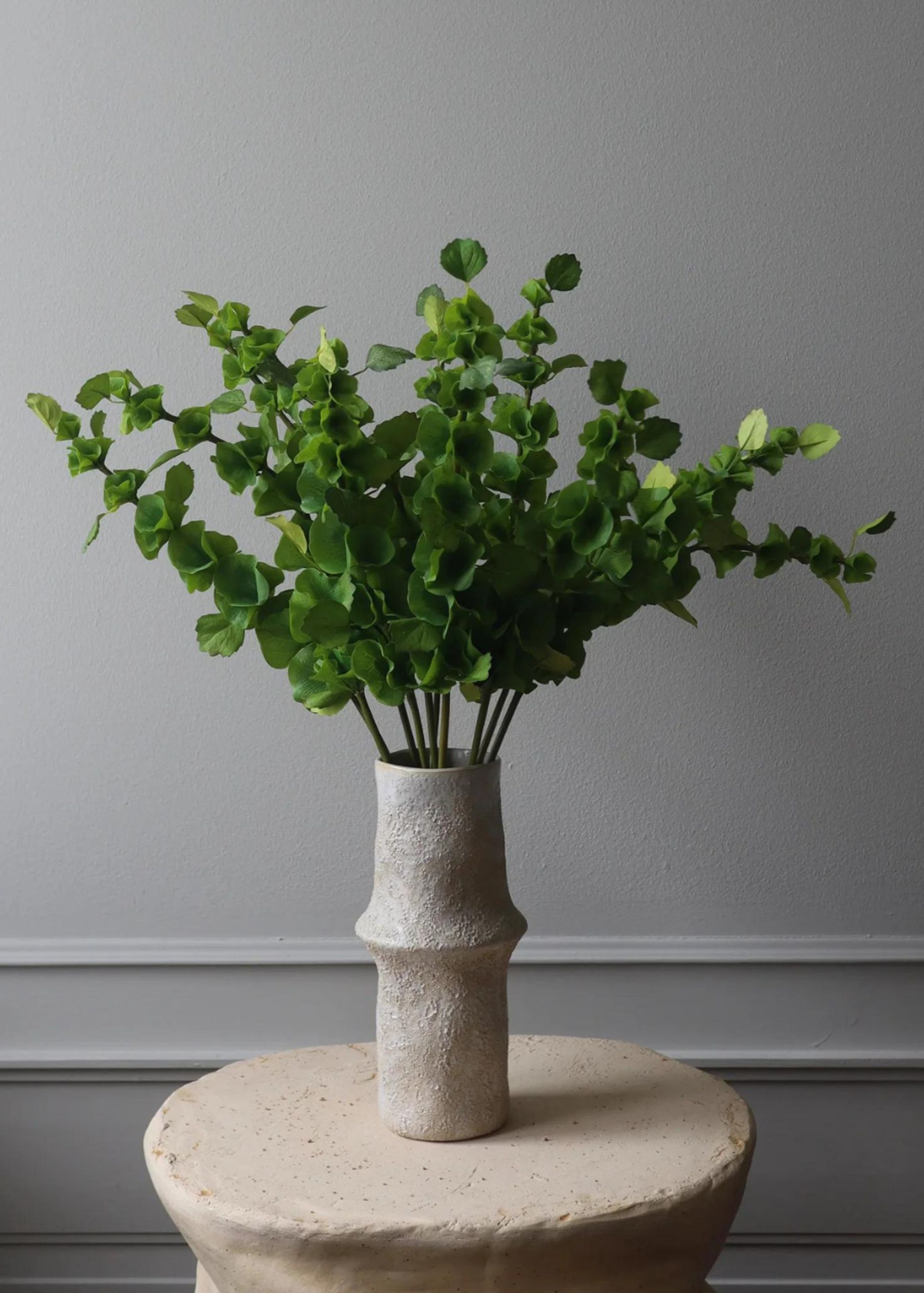 Botané - Artificial flowers - Flower stems - Bells of Ireland green