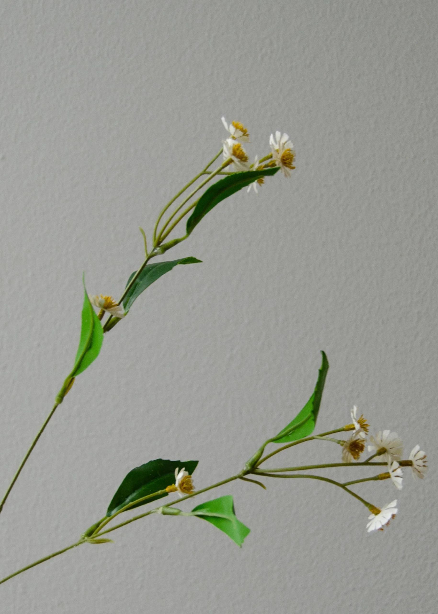 Botané - Fiori artificiali - Flower stems - Chamomile Daisy white