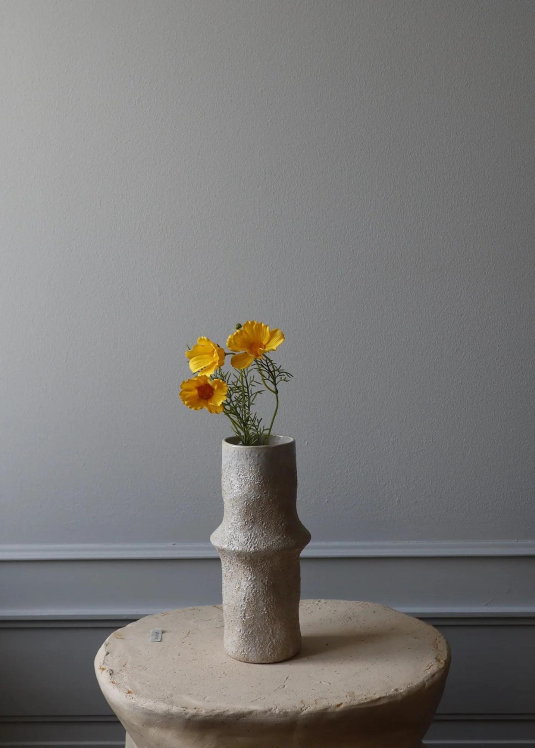 Botané - Fleurs artificielles - Flower stems - Cosmo Daisy yellow