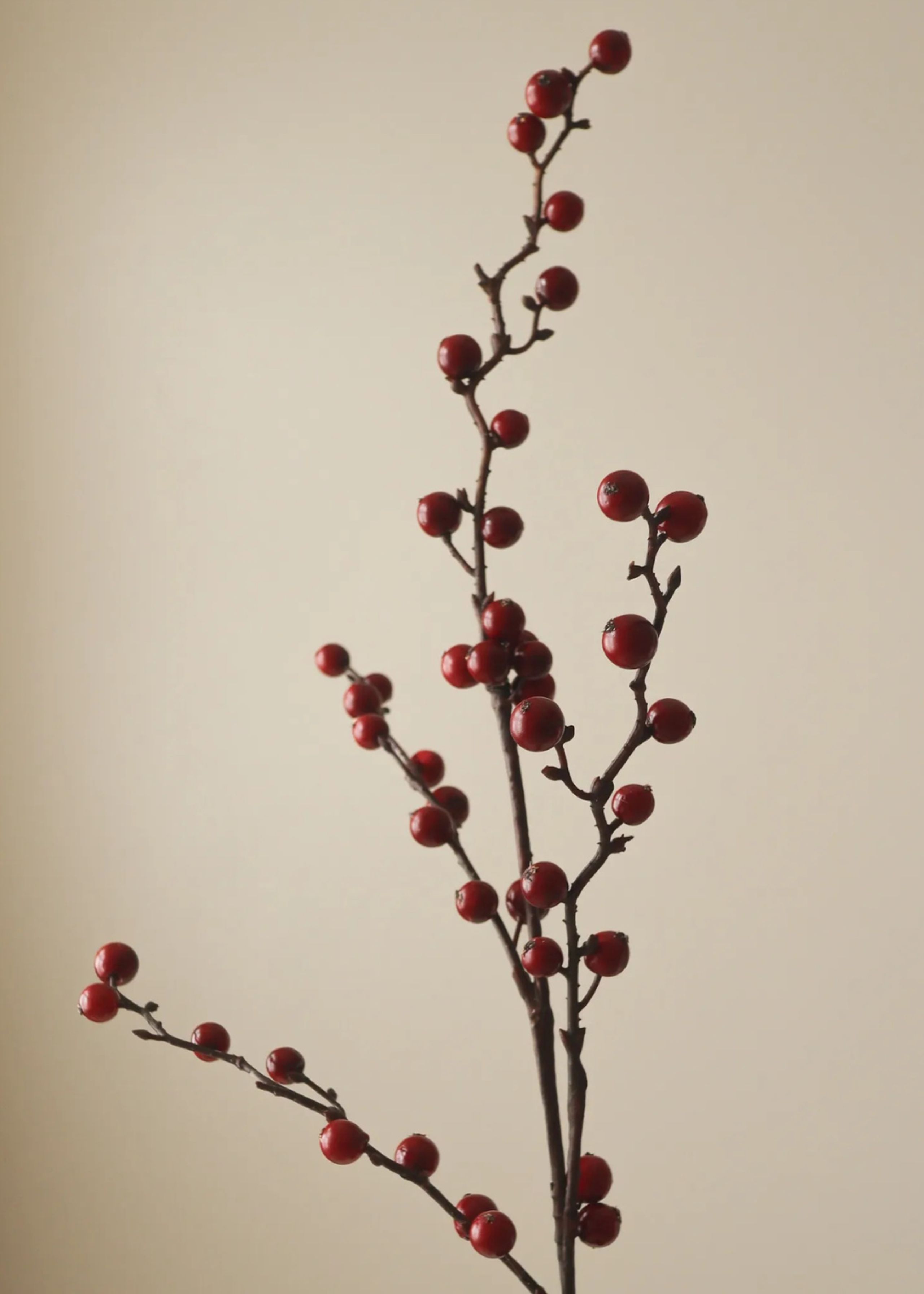 Botané - Artificial flowers - Flower stems - Dark Red Winterberry branch