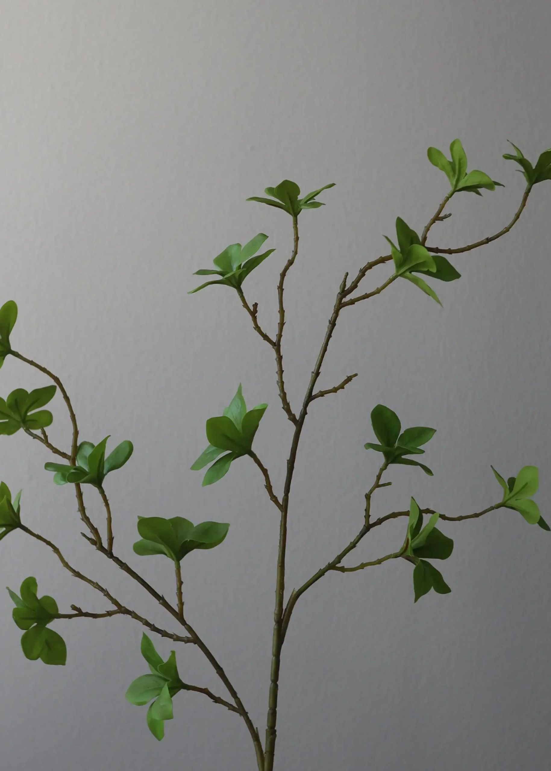 Botané - Artificial flowers - Flower stems - Enkianthus Perulatus Leaves