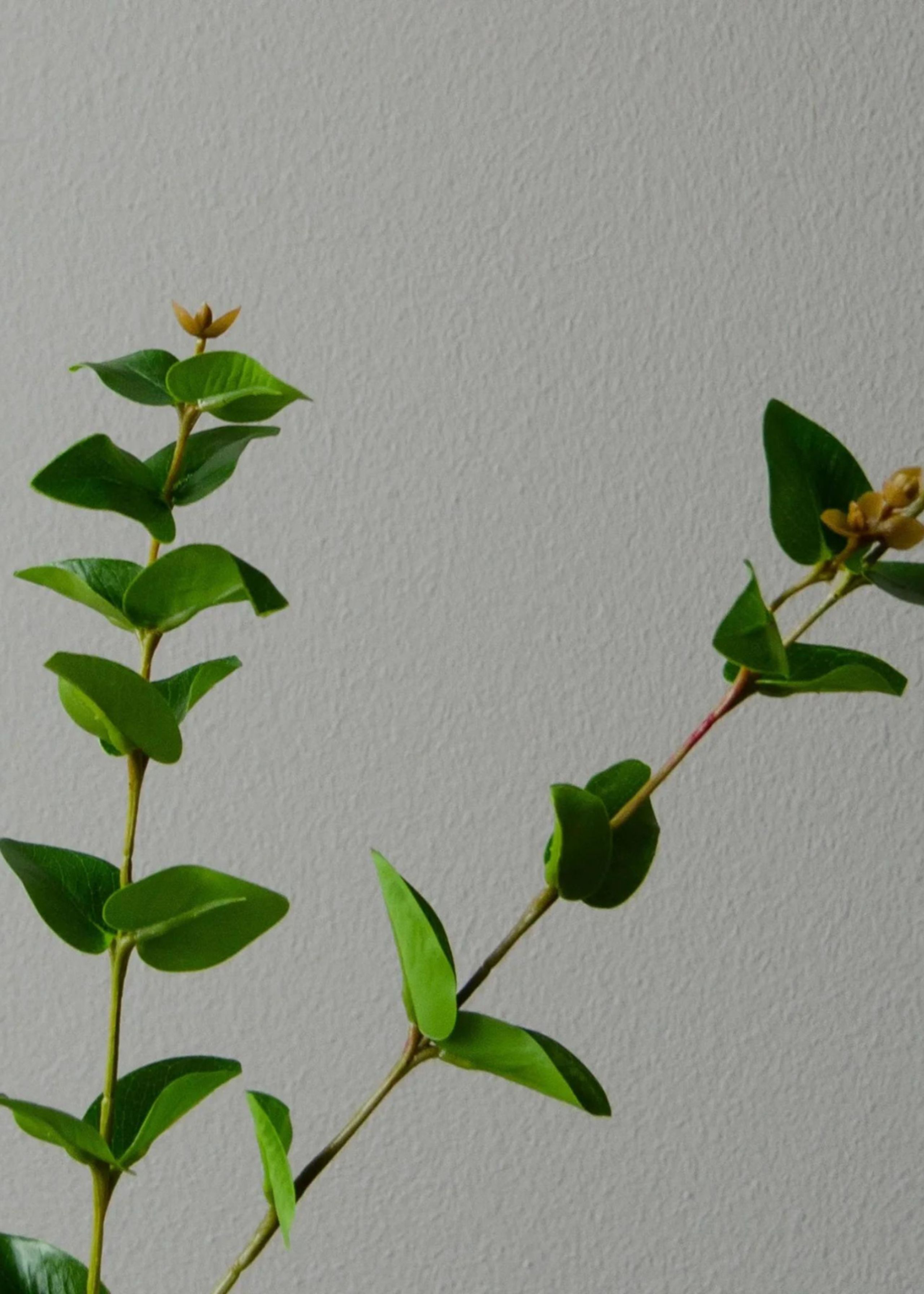 Botané - Künstliche Blumen - Flower stems - Eucalyptus Leaves green