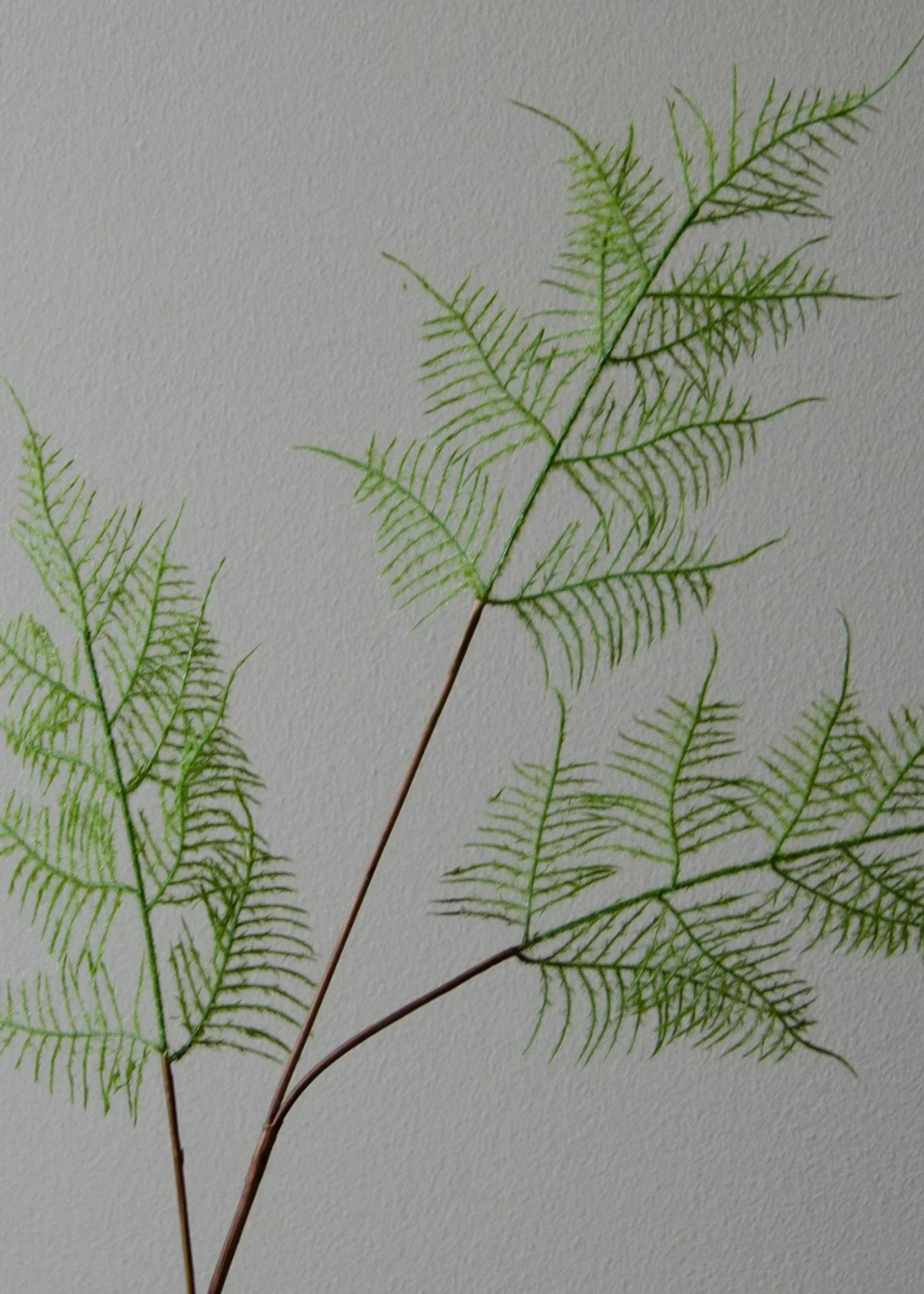 Botané - Artificial flowers - Flower stems - Fern Leaves green