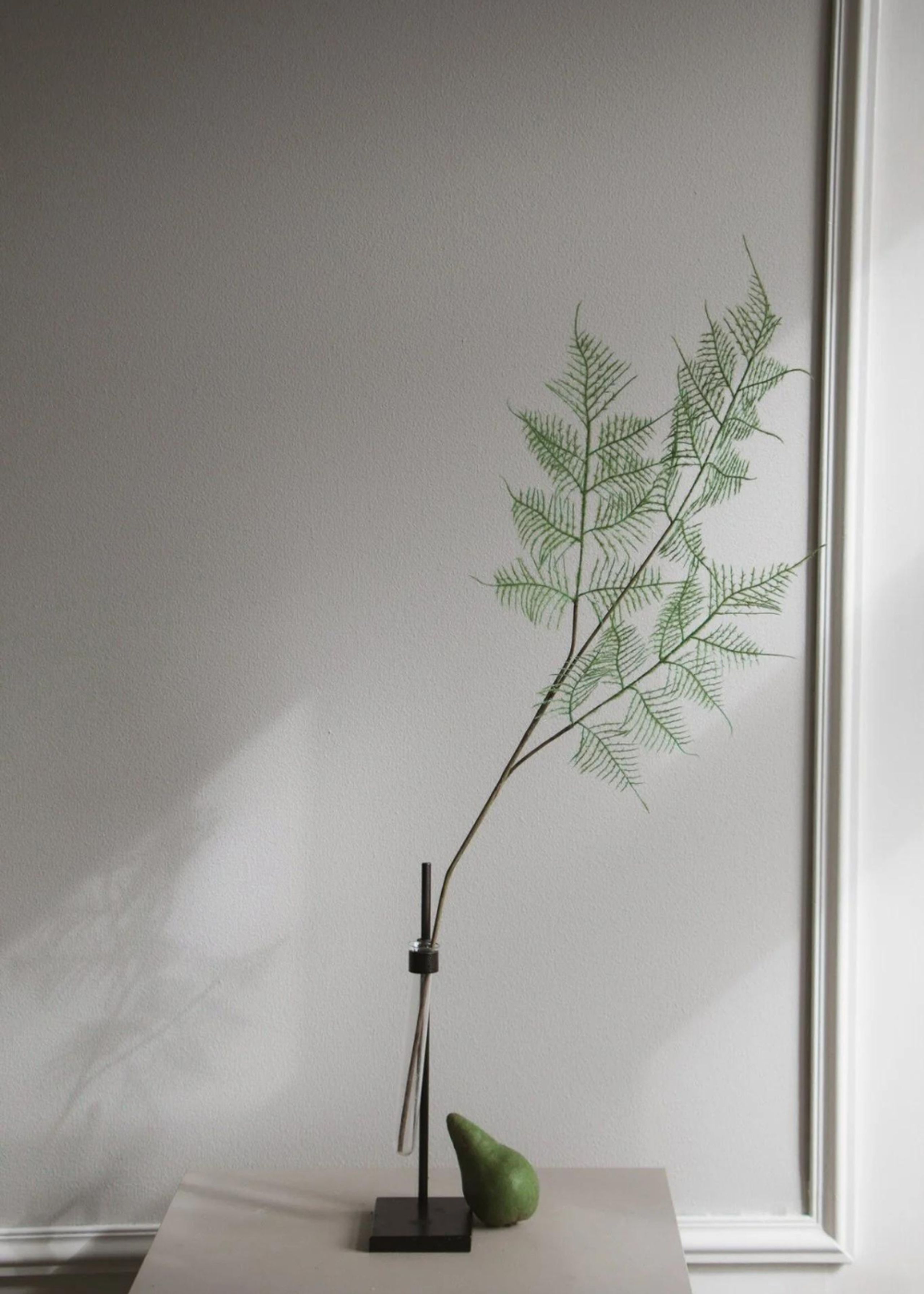 Botané - Artificial flowers - Flower stems - Fern Leaves green