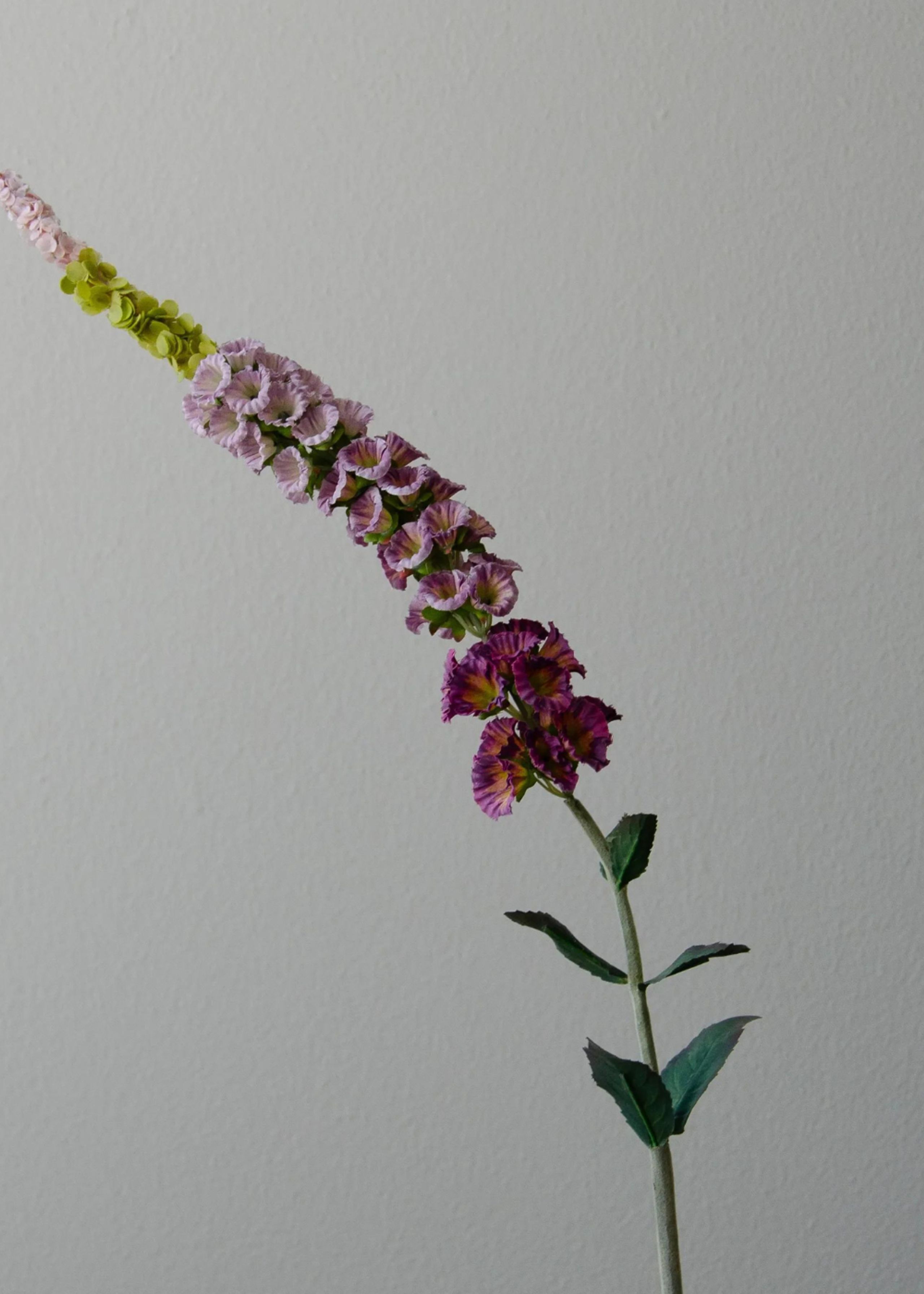 Botané - Artificial flowers - Flower stems - Foxtail purple