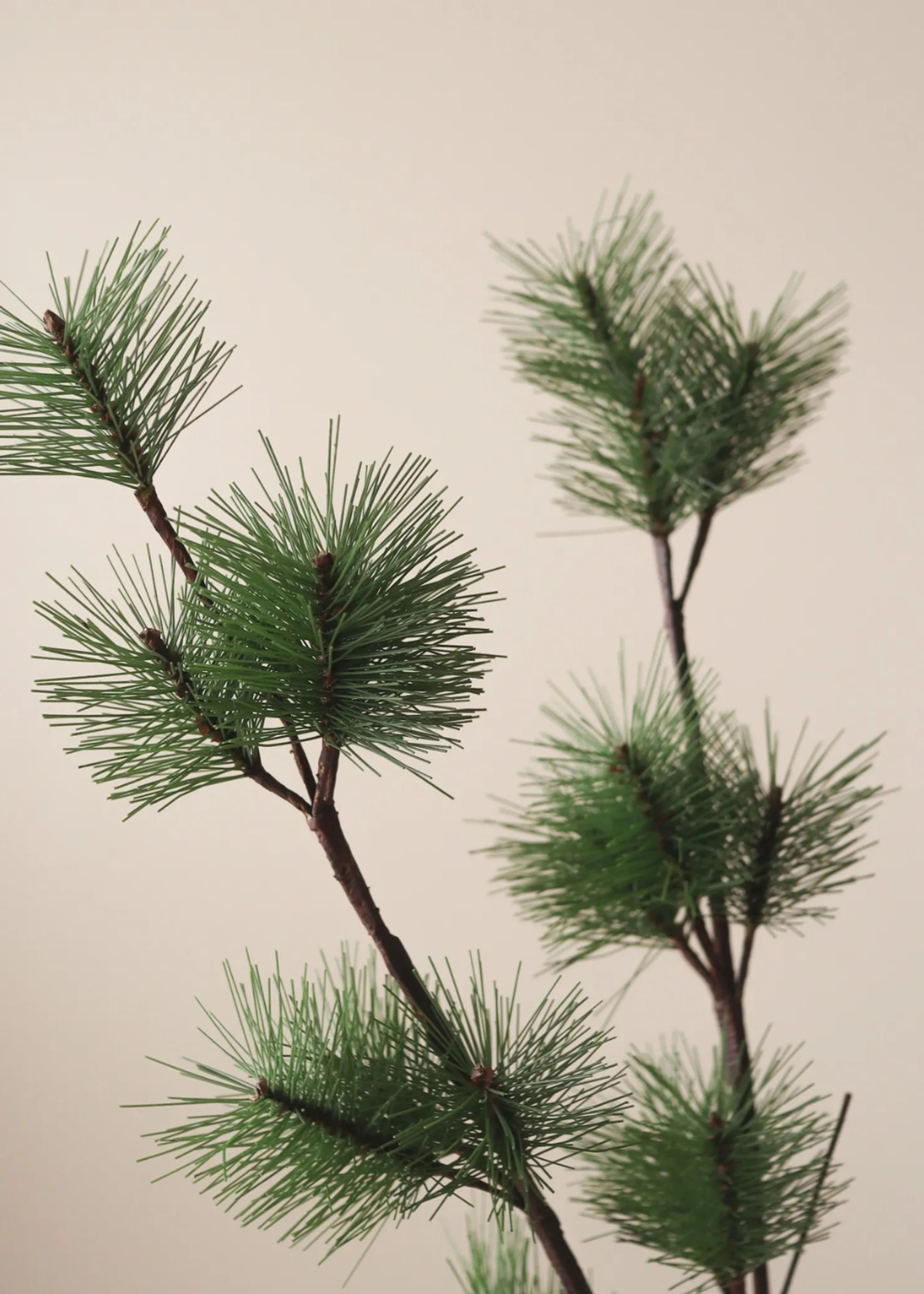 Botané - Artificial flowers - Flower stems - Green Pine Branch