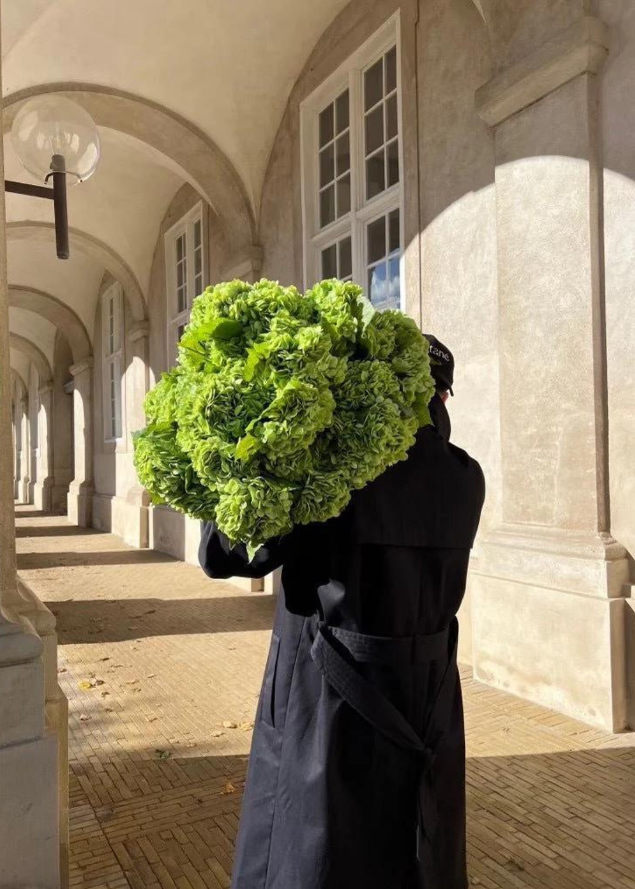 Botané - Artificial flowers - Flower stems - Hydrangea green