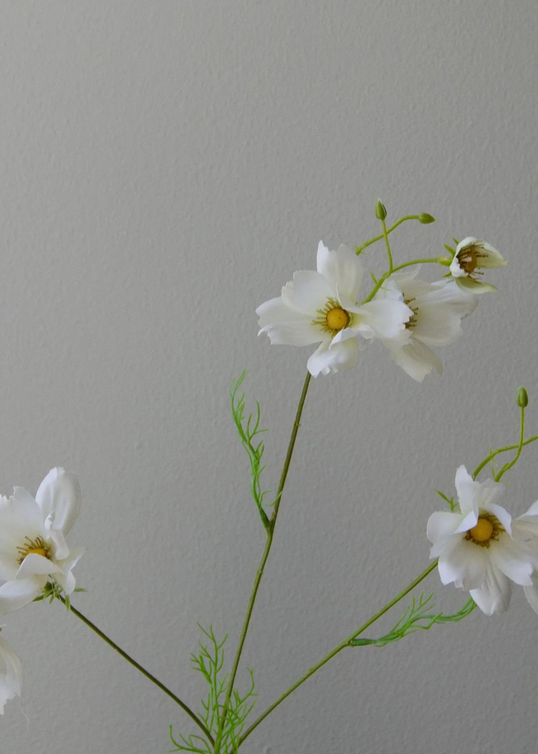 Botané - Umělé květiny - Flower stems - Large Cosmo Daisy white