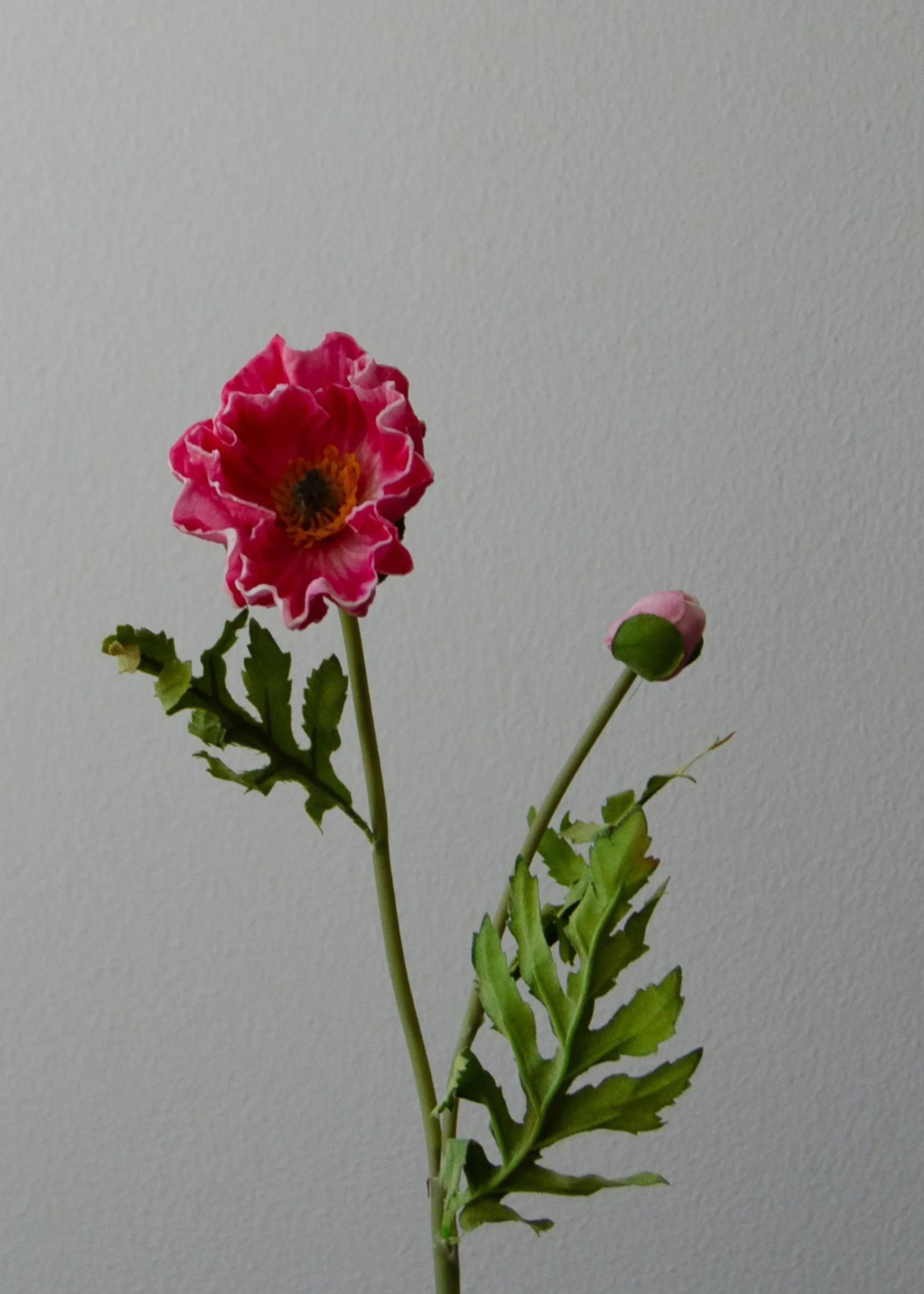 Botané - Kunstige blomster - Blomster stilke - Large poppy pink