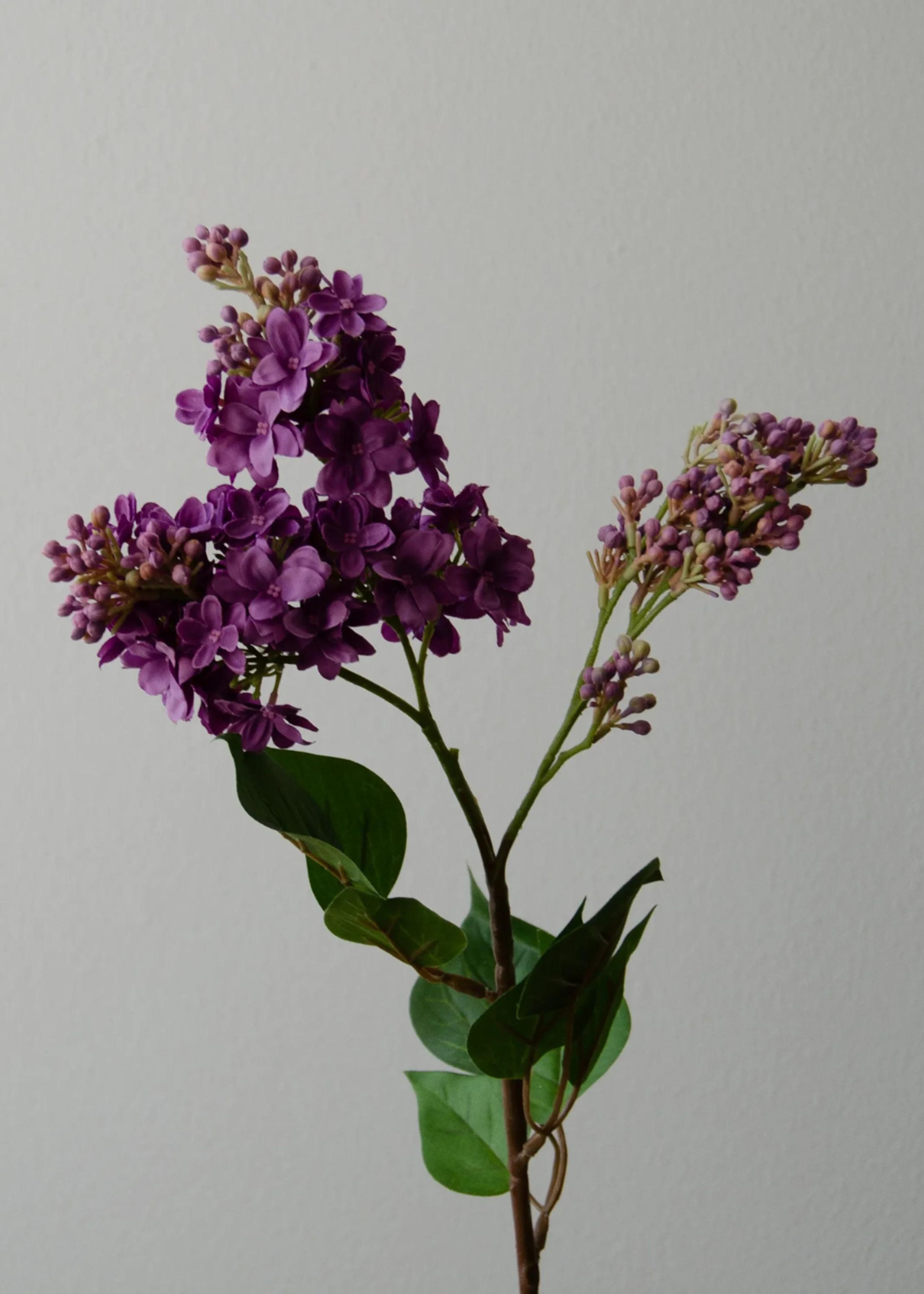 Botané - Artificial flowers - Flower stems - Lilac Flower