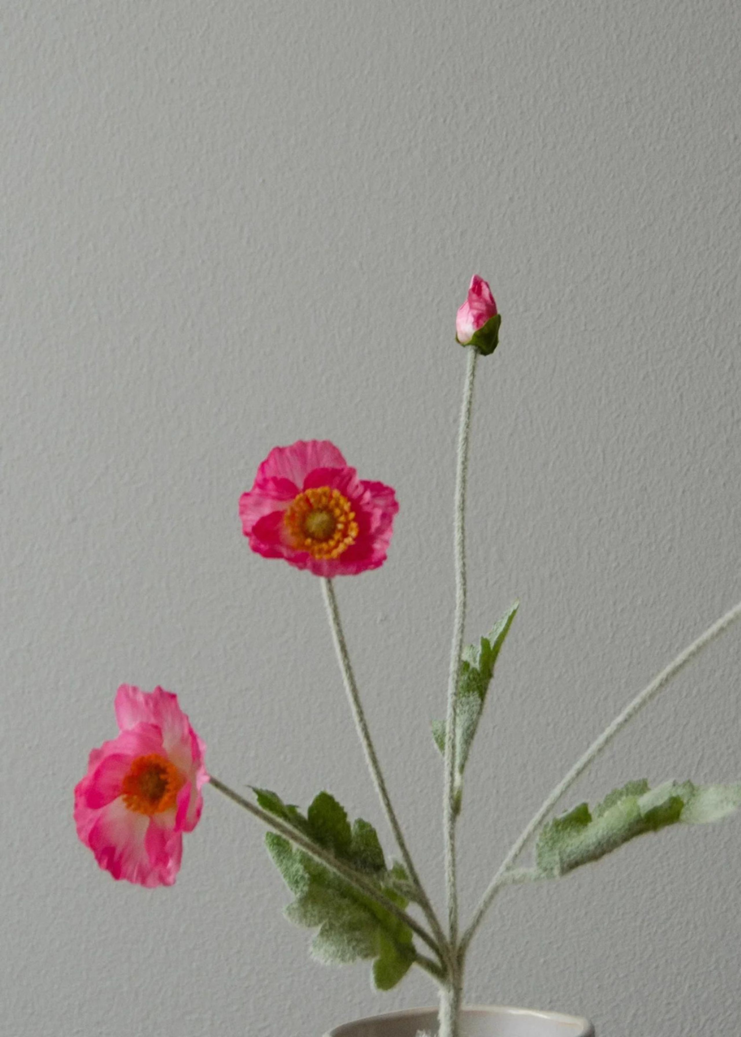 Botané - Artificial flowers - Flower stems - Poppy pink