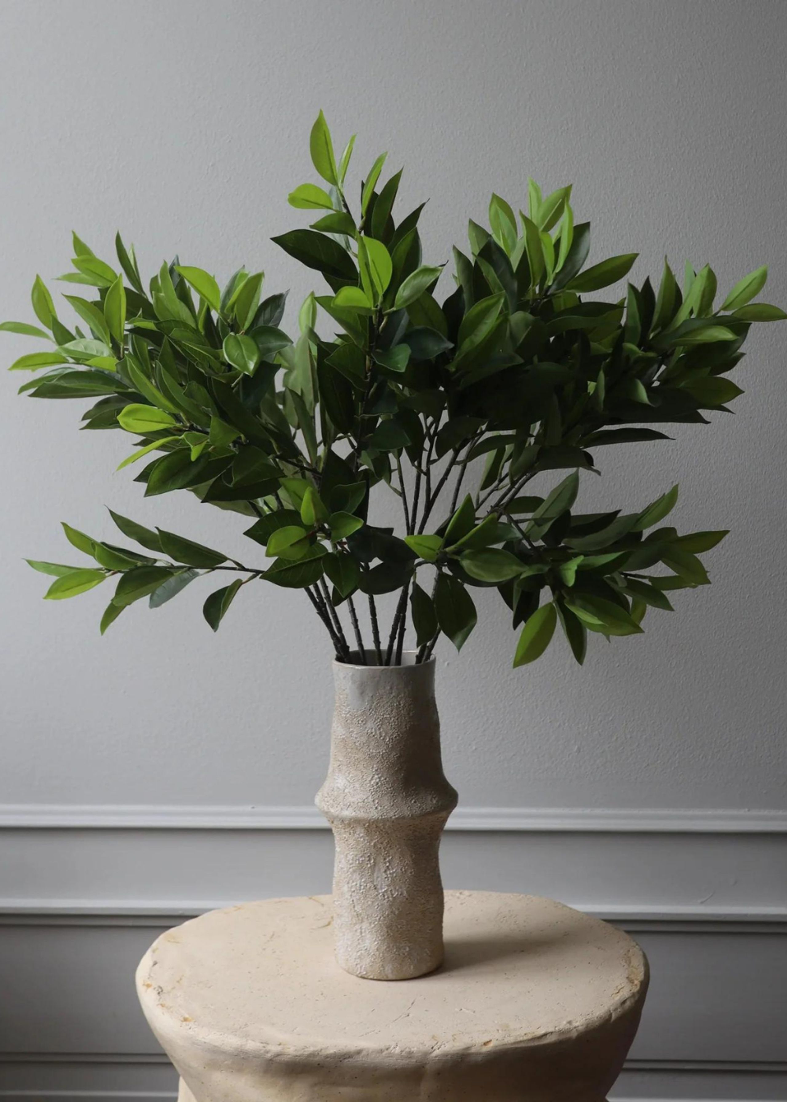 Botané - Artificial flowers - Flower stems - Ruscus Leaves green